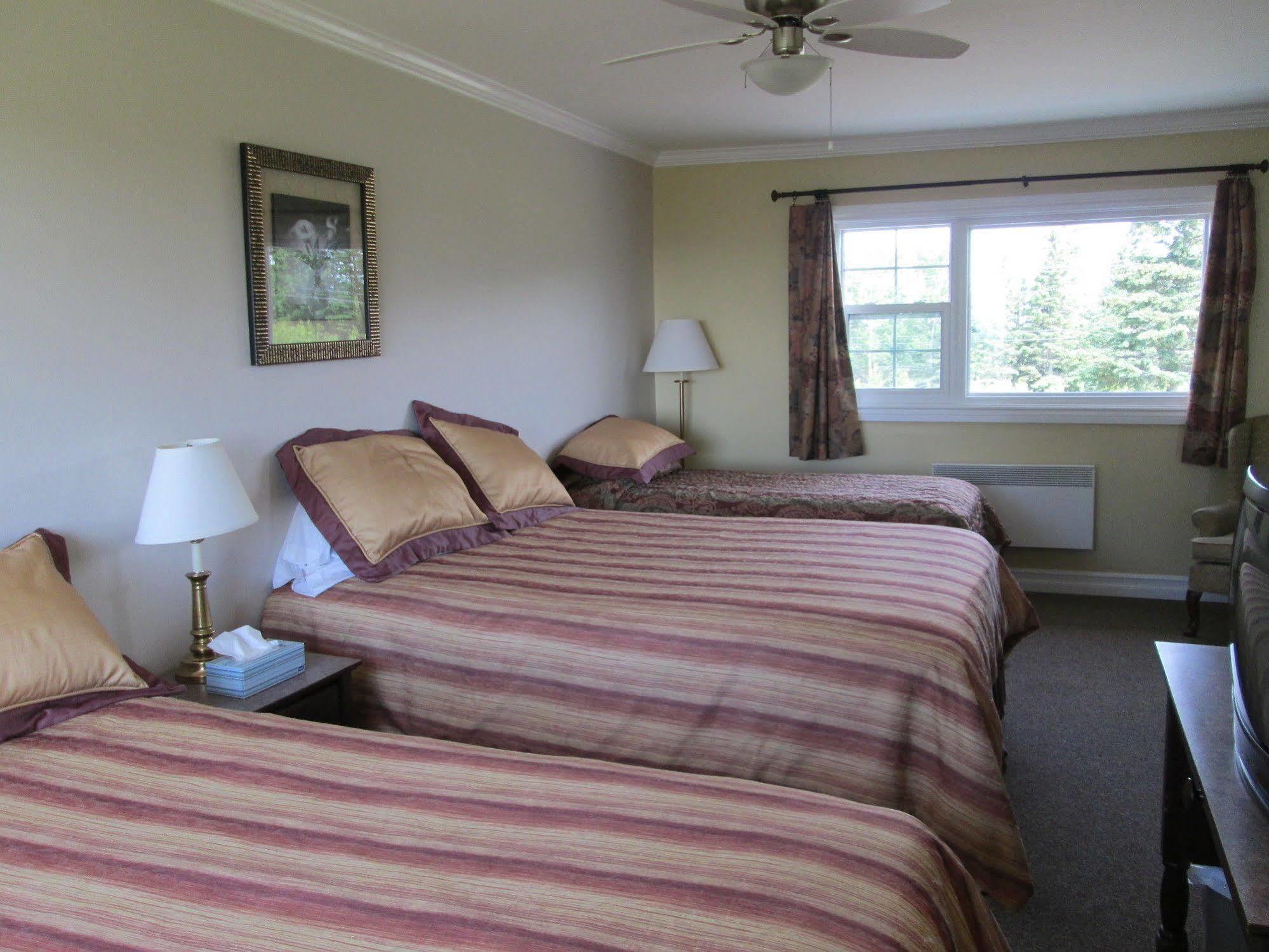 Scenic Motel Moncton Exterior foto
